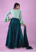 Pista Green Crop Top & Grey Ghaghra Skirt